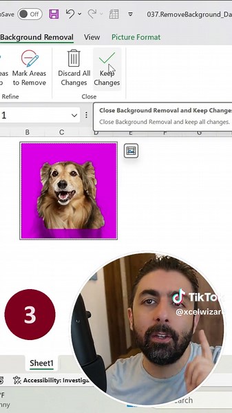 Remove Image Background in Excel - Easy Tutorial
