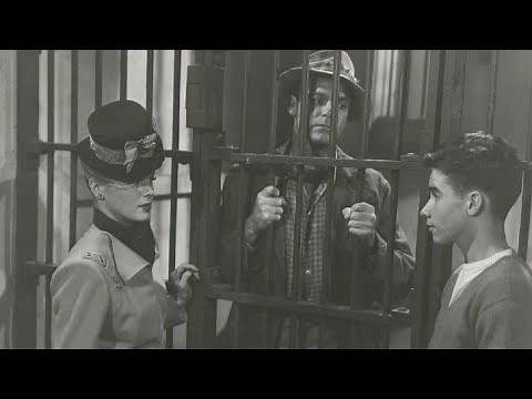 Her Adventurous Night (1946) Full Movie | Comedy | Dennis O’Keefe, Helen Walker, Scotty Beckett