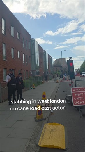 West London Stabbing: Du Cane Road Incident