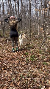 Let’s make some ramp butter! I stumbled upon the honey hole of broad leaf ramps! I made a log of butter for myself and a few friends 💕🌿 Ramps are an incredibly delicious spring ephemeral! What is your favorite way to eat ramps? #mushlove and have a great week! #fy #fyp #ramps #nature #explore #forage #hike #cook | Melissa Ketelsen