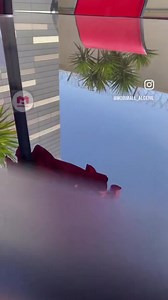 25 reactions | ✨ Mobilier de jardin ✨ #meubles #bois #algerie #confort #meuble #sofa #chic #design #algeria #salon #noir #decor #interiordesign #espace #showroom #tendance #foryou #maison #decoration #dz #table #Sofas | Mobimall - Votre espace mobilier | Facebook