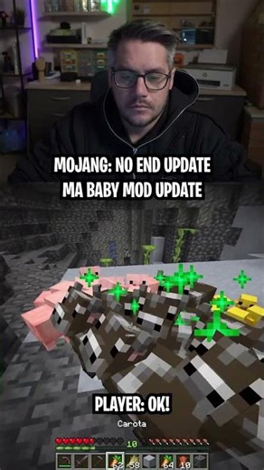 Mojang: No END UPDATE ma BABY MOD UPDATE!! PLAYER: MMMH... OK!! #clips #snapshotminecraft