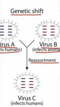 Influenza — More than a flu, it’s a blueprint for exam logic