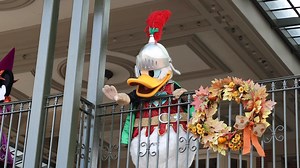 5.4K views · 1.2K reactions | Autumn has arrived at Magic Kingdom Park! Check out what travel agents are enjoying most this fall season at Walt Disney World Resort in Florida. | Disney Travel Professionals | Facebook