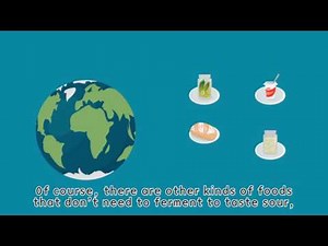 Genetics of Taste Lab: Science of Sour Study 2016-2017