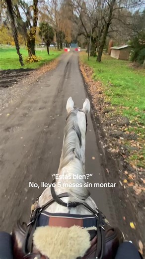 Understanding the Emotional Journey of a Horse Lover