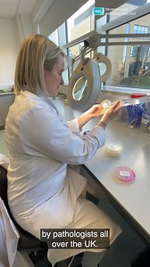 6.6K views · 93 reactions | As part of Healthcare Science Week, we...