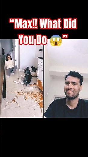 Max!! What Have You Done? 😱 Funny Cat Reaction 😂#shorts