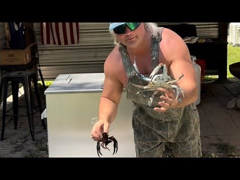 Blue Crabs and Crawfish boil!!