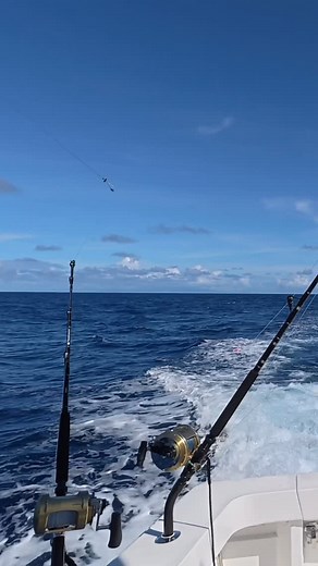 Doubles 👇 Spearfish on a pink 100%er 💯 #fishon #typefish #fishing #hawaii #oahu #fish #boat #tuna #marlin #deepsea #mahi #wahoo #epic #epiccatch #catchandcook | Andrew Trozzi