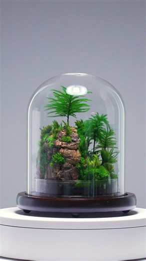 4.9K views · 41 reactions | This is one of the quick video examples we captured for design archival purposes: The Rainforest (M) - Tree Moss Island. It serves as a reference point for subsequent pieces, as photos alone can’t fully capture the intricate details and depth. #terraliving #preservedmoss #zeromoss #treemoss #moss #terrarium | TerraLiving | Facebook