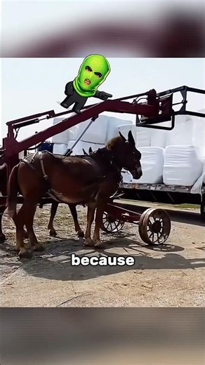 How Amish people use a forklift without breaking the rules?😅