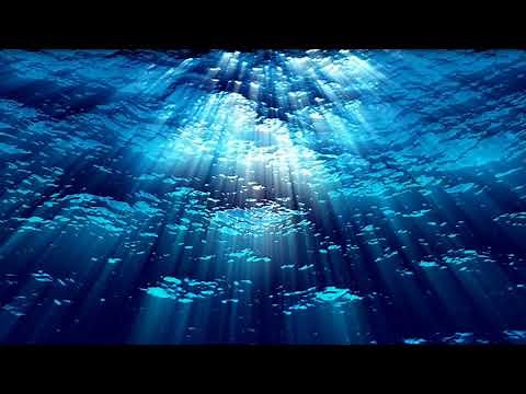 Blue Ocean Underwater Free Background Videos, Motion Graphics, No Copyright | All Background Videos