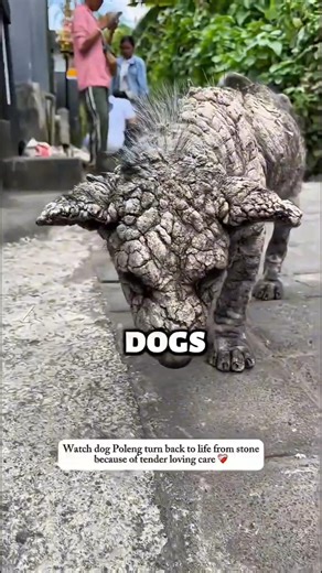 This little girl kept failing her stomp rocket… until this happened! 😅🚀