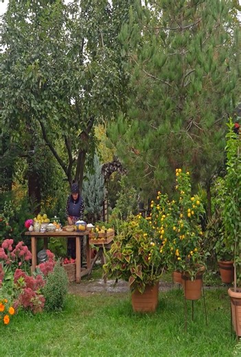 4.7K views · 153 reactions |  Golden Quince Magic — Cozy Autumn Baking Vibes! #AutumnBakes #QuinceDelight #CozyKitchen | Cooking HD | Facebook