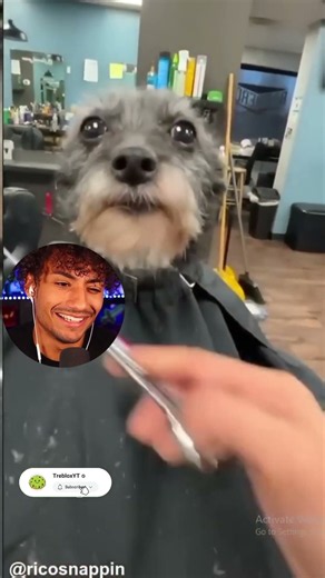 This Fresh Cut Changed His Bloodline 💀😂 - Foltyn Reacts #viral #funny