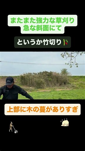 またまた急な斜面での草刈り。これもまた、上部に木の蔓がありすぎて困難を極める。