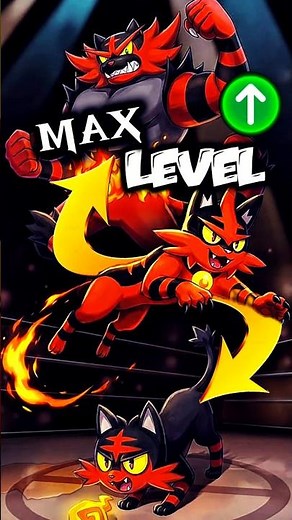 Cute Litten vs Brutal Incineroar | Full Evolution Lore 🔥🐱