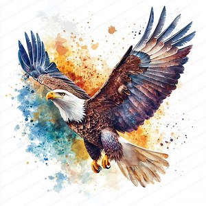 14 Eagle Clipart | Soaring Bald Eagles | Printable Watercolor Clipart | High Quality Jpgs | Digital Download | Paper Craft | Junk Journals - Etsy