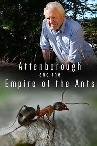 Attenborough and the Empire of the Ants - Movie