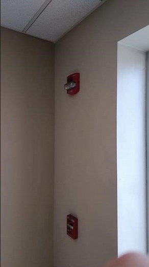 Simplex Truealert ES Addressable Horn Strobe