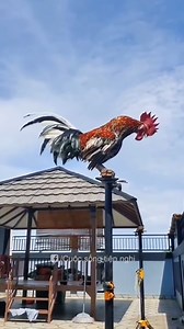 1.3K views | This will give you goosebumps! .. | Nick Martin | Facebook