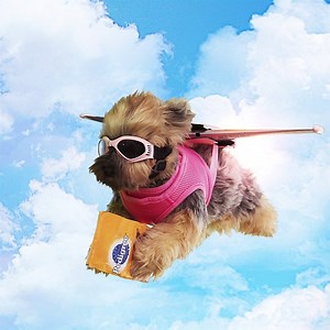 Let's take to the sky! Even Mother Nature is no match for a pup who's powered by Pedigree US Small Dog Food and inspired by PAW Patrol! | Nickelodeon Family