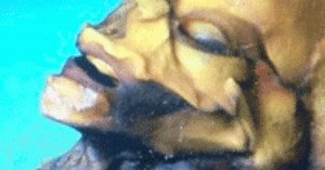 "Sirius", the documentary that claims to show the "extraterrestrial" (Photo/Video)