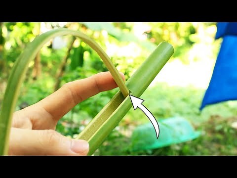 5 Trò Chơi Tự Làm Ở Nông Thôn Xưa