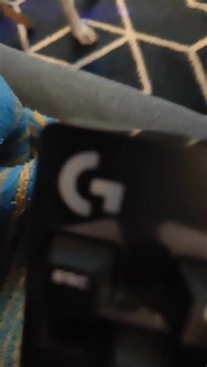 Customers are raving! Dad’s keyboard review: “7.5.” Dads wiggle review: “He stopped me in my tracks twice. Solid 13.”#technology #review #dogsoftiktok #fyp #funnyanimals