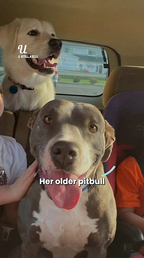 466K views · 7.7K reactions | I had no choice but to put down my family dog  | Ultimate | Facebook