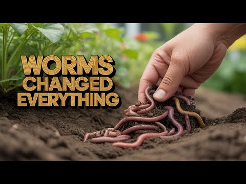 "I Laid This Down at Night—By Morning My Soil Was ALIVE With Worms"