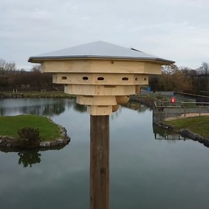We’re addressing native bird decline with help from Pembrokeshire Coast Charitable Trust ‘Force for Nature’ grant, which helps support projects and communities who are driving positive change for biodiversity and conservation. The grant helped to fund the aptly named 'Hafod yr Adar' project which translates to ‘the birds summer dwelling’, referring to the summer migratory and nesting habits of the target birds. The large purpose-built tower stands 6.5m high and aims to offer additional nesting o