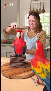 84M views · 1.2M reactions | Pet Macaw has breakout over potential crime #lol #ai #funny | Next Stop Hollywood | Facebook