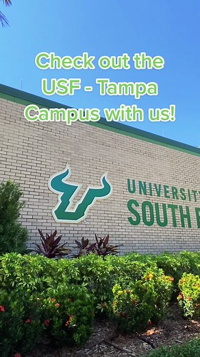 Experience the Beauty of USF - Tampa Campus