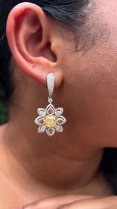 Does your customer also fancy some coloured diamonds? Jewellery...