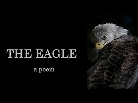 The Eagle by Alfred, Lord Tennyson (Poem)