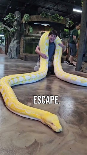 #goosebumps