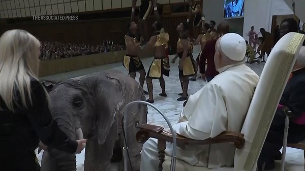 Pope Francis enjoys performance by CircAfrica entertainers and mechanical elephants