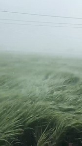 8.1M views · 24K reactions | #mircoburst ਪਿੰਡ ਧੂਰਕੋਟ, ਜਿਲਾ ਲੁਧਿਆਣਾ, 2:30 pm 27/8/2024 ਕ੍ਰੈਡਿਟ: ਸਿਮਰਨ ਧਾਲੀਵਾਲ Village Dhurkot, District Ludhiana, Punjab, India. ਮੌਸਮ The Weather | ਮੌਸਮ The Weather | Facebook