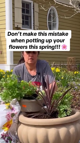 Refresh Your Container Garden Soil for Spring Growth