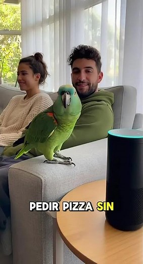 “Loro ROASTEA a Alexa: ‘¡Tu novio te dejó por Siri!’ 😂🦜🔊🍕”