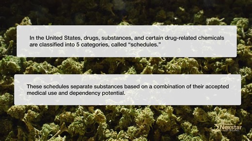 What do the different "schedules" of drugs mean?