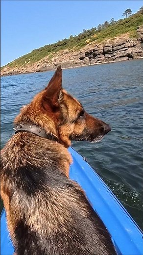 Camping with My Dog by the Sea 🌊🐾 | Canoeing & Sunset