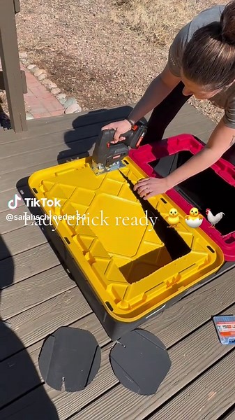 Building a Brooder Box for New Chicks