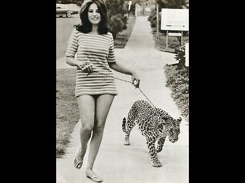 Stunning Vintage Photos of Street Girls in Their Miniskirts in the 1960s