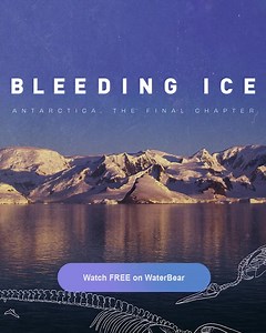 ‘Bleeding Ice' is a poetic, yet honest testimony from the frontlines, witnessing the devastating effects of the climate crisis in Antarctica. | WaterBear Network