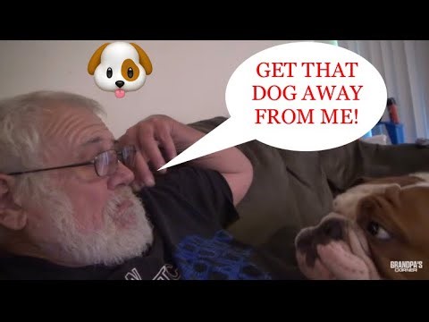 AGP Angry Grandpa and Bella moments