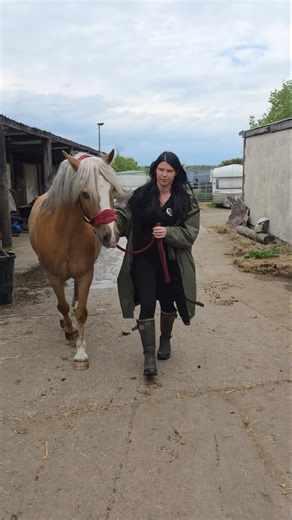 “Slowly but Surely… Dalton’s Slimming Down”😅🥰🥰 #horse