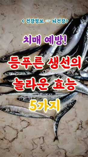 50대부터 꼭 챙겨야 할 음식! 등푸른 생선의 놀라운 효능 5가지! #건강정보 #건강 #등푸른생선 #음식 #shorts